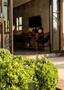 Guest Room at Joubert