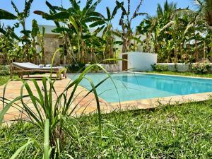 Villa Totò with Private Pool ZanzibarHouses