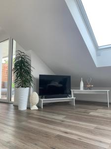 Lieblingsplatz-Bodensee