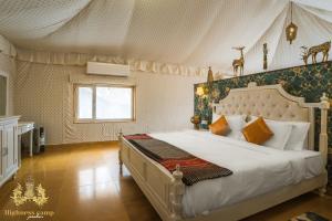 Highness Desert Camp
