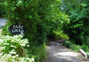 Pantgwyn Bach - Private Apartment