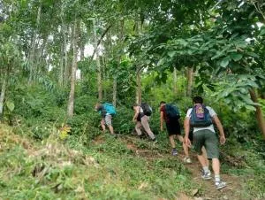 Bukit Lawang Backpacker JungleTrekking Only Booking with us - Bohorok