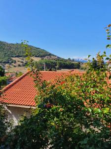 Ξενώνας Ελένη