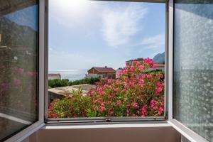 Two-Bedroom Apartment room in Apartments Goge - 90m from beach