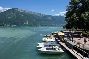 Appartements View Lake 1 ! Veyrier-du-Lac : photos des chambres