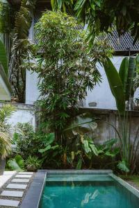 Shaka House Sri Lanka