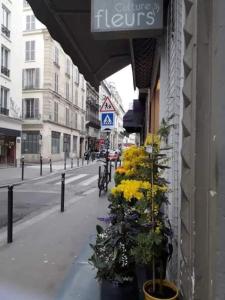 Hype Canal Beau Studio rénové calme Canal St Martin