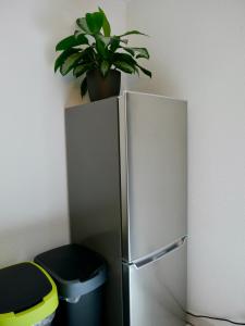 Schönes Apartment mit Terrasse im Steingarten
