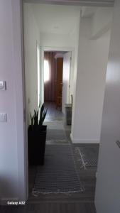 Monte dos Pastorinhos II