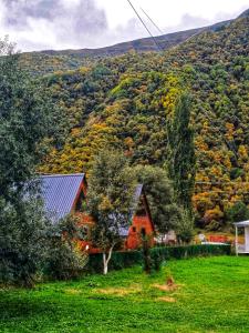 Panorama cottages in Sno