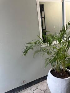 Amazing home stays 9