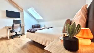Appartements La Villa Patton : photos des chambres