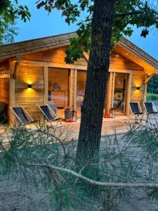 Sosnowy zakątek - Rzeczyca