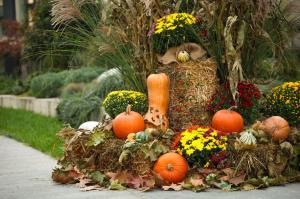 Romantic Holiday Studio