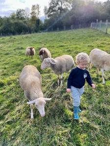 Roulotte en bois tout confort