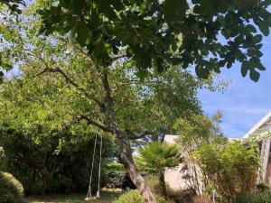 Maisons de vacances Maison familiale, proche plage et nature, ideale pour 8 personnes avec jardin et equipements complet - FR-1-418-233 : photos des chambres