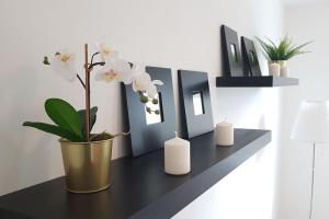 Cosy flat in a quiet location with free parking