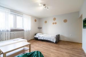 Park Śląski Comfy Apartment by BookingHost