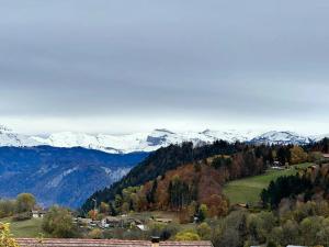 Appartements Appartement confortable a Mont-Saxonnex 25m² avec balcon : photos des chambres