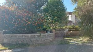 Margot Perfect House