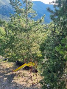 La Cabaña de Don Chuy