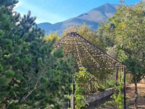 La Cabaña de Don Chuy