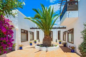 Casa Dune