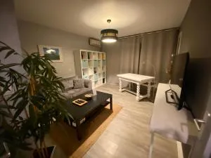 Logement entier - 3 Chambres - Parking privé - 15 min Lyon et Aéroport - 圣莫里斯-德拜伊