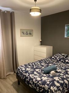 Logement entier - 2 Chambres - Parking privé - 15 min Lyon et Aéroport