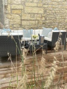 Maisons de vacances Le Braye : photos des chambres