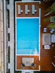 The Palms - Crooked Tree