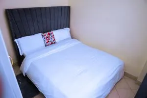 Amani stays Naivasha - Gilgil