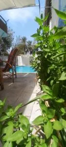 Villa Rose-Luxor - El Bayâdîya