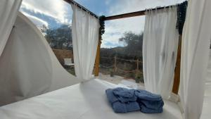 Glamping Burbuja Los Almendros