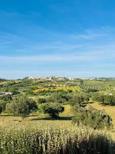 Cantinho do Alemao - Alter do Chão