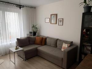 cozy family apartment