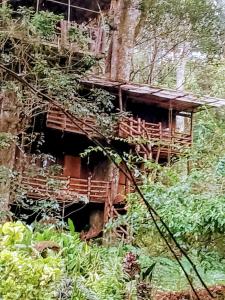 Jungle Tree House Munnar