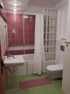 Apartament Julia 1-4 os parter balkon garaż Westerplatte