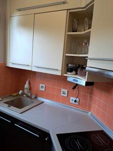 Apartament Julia 1-4 os parter balkon garaż Westerplatte
