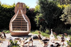 Lux in nature ekolia bodrum