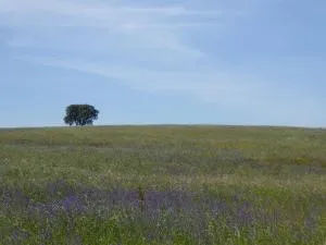 Herdade Joana Dias by PortusAlacer - Vila Fernando