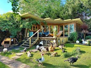 The Base Vegan Retreat Animal Sanctuary