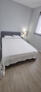 Salinetas apartamento junto al mar