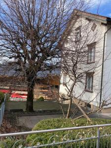 13 - Gästehaus Erika - Hundwil - Appenzellerland