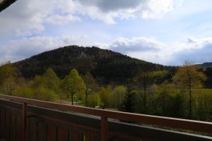 Ferienwohnung Sonnenblick Balkony - WIFI - New & Modern - Winterberg - Niedersfeld