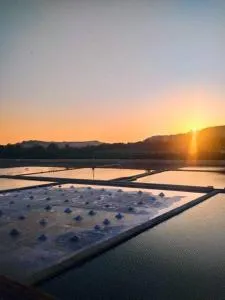 Charming Beachhouse by the Salini National Park - Port Bur-Marrad