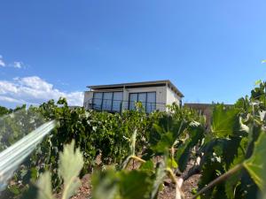 Castillo Toscana Hotel Boutique