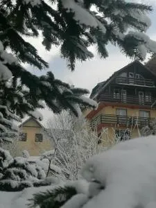 Pensiunea Vladis - Lupeni