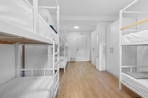 Shared room in Hostel - Bunk bed