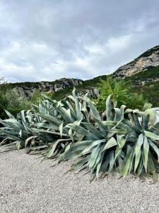 Casa 32 Loft - Garda Lake